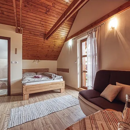 Zet - Penzion & Wellness Guest house 4*